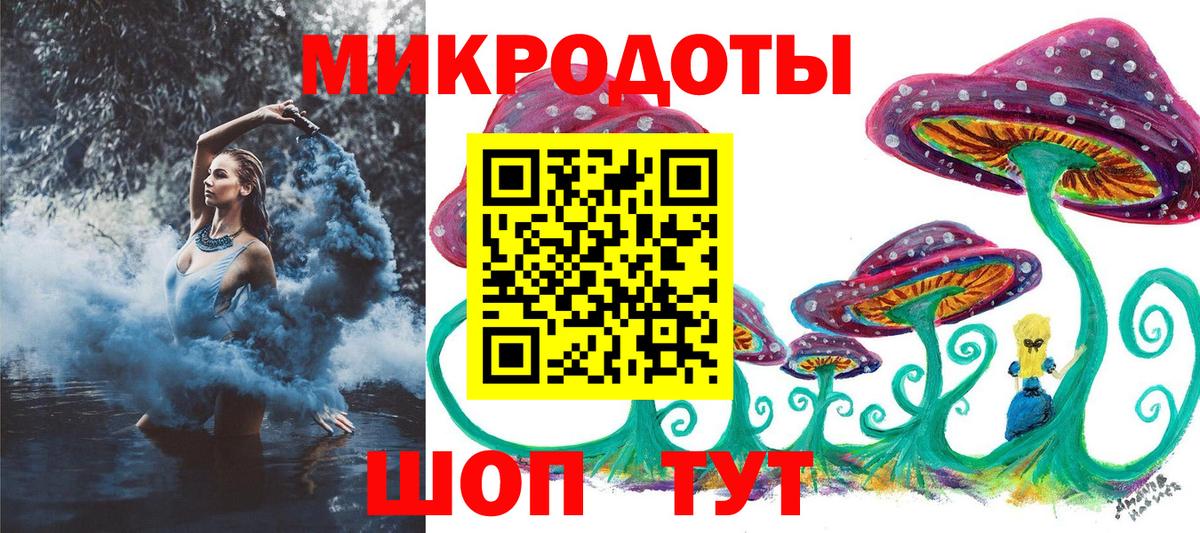 Псилоцибиновые грибы Cubensis Майкоп