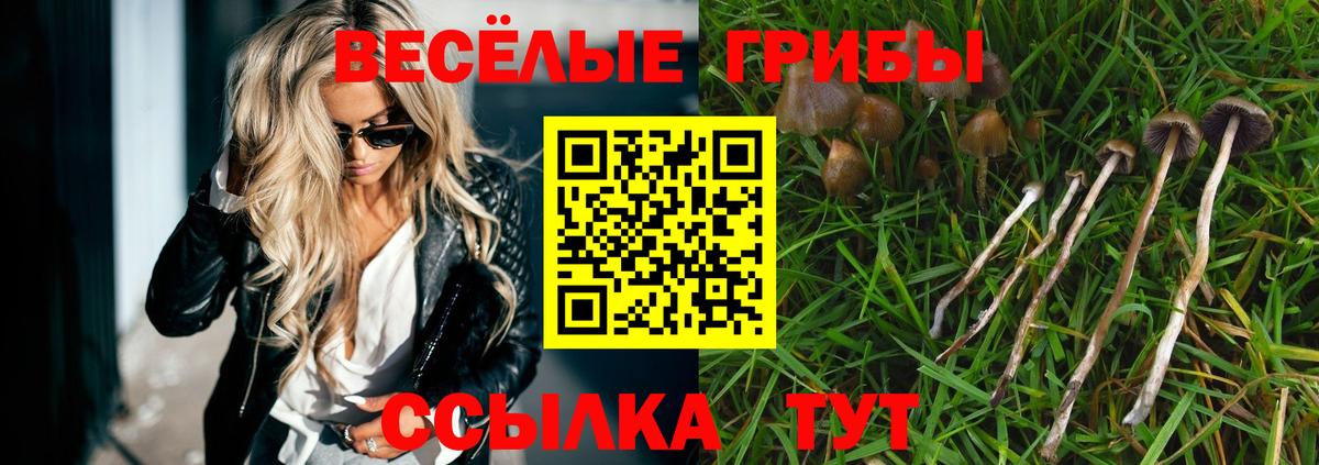 купить закладку  Галлюциногенные грибы GOLDEN TEACHER  Вход с VPN  Майкоп 